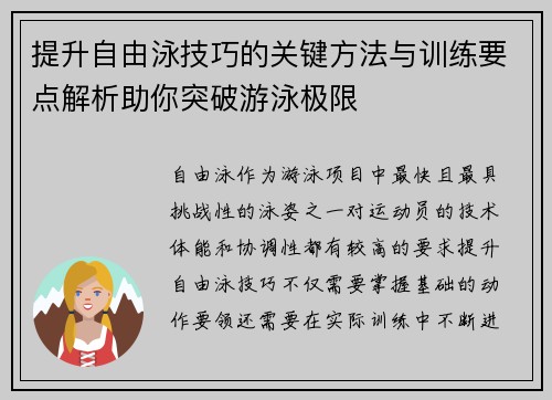 提升自由泳技巧的关键方法与训练要点解析助你突破游泳极限